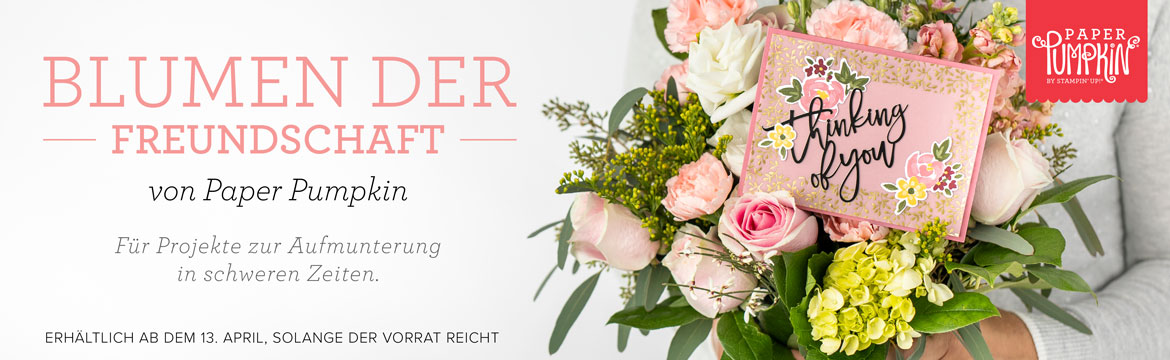 You are currently viewing Blumen der Freundschaft von Paper Pumpkin